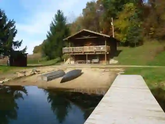 cabins near pokagon state park