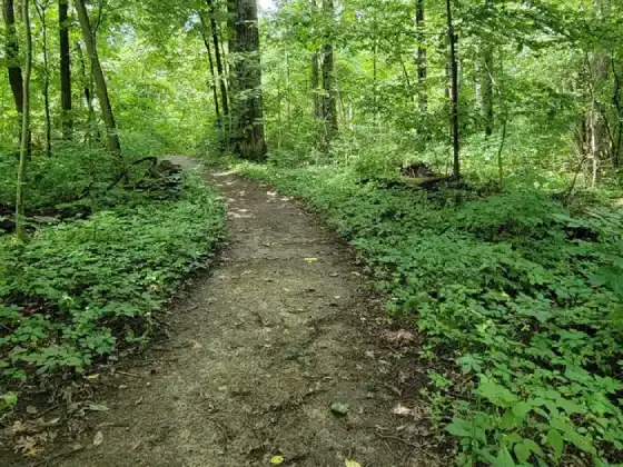 pokagon state park hiking