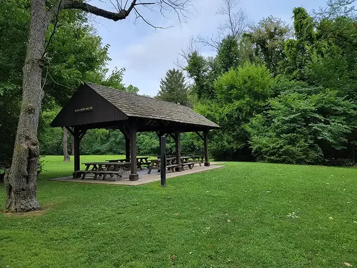 black cherry in shelter pokagon state park