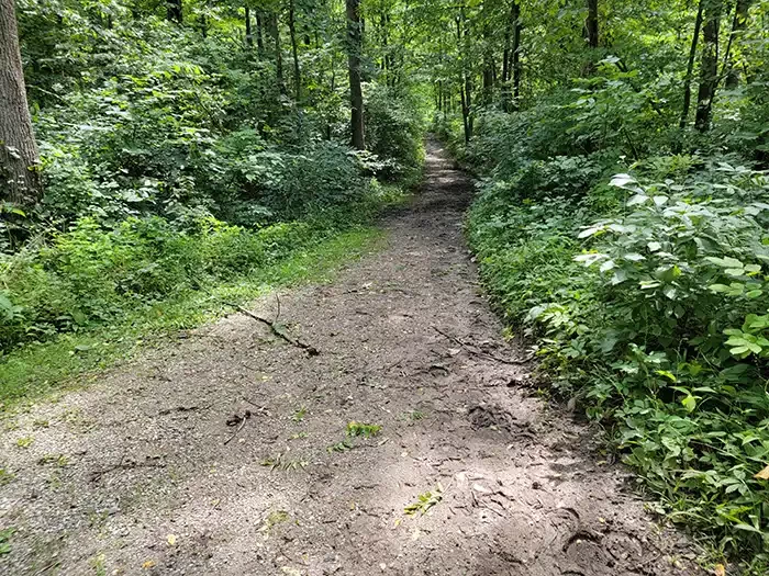 bridle trail pokagon state park